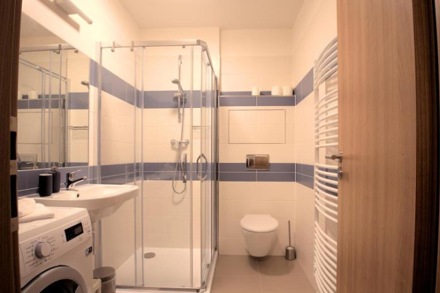Sunny, fully furnished Studio type with terrace - Plzen