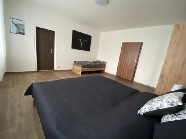Černý Tulipán - Apartmán 3 - Plzen