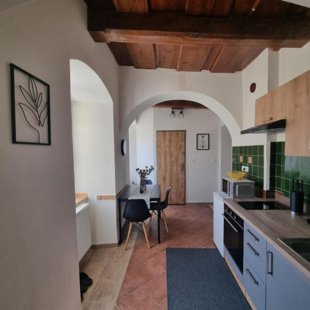 Vila Lucia - Apartmán 1 - Plzen