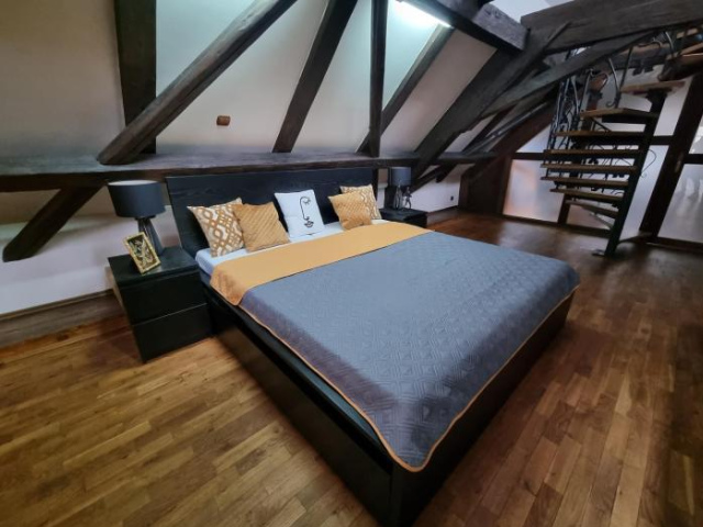 Galerie Vila Lucia #5 - mezotonový apartmán - Plzen