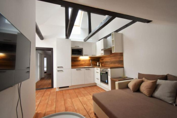 Apartment in the center