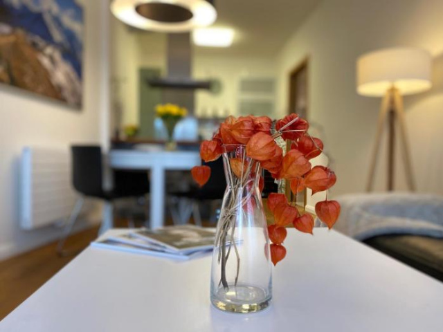 Residence Grand - Soukromý Apartmán - Spindleruv Mlyn