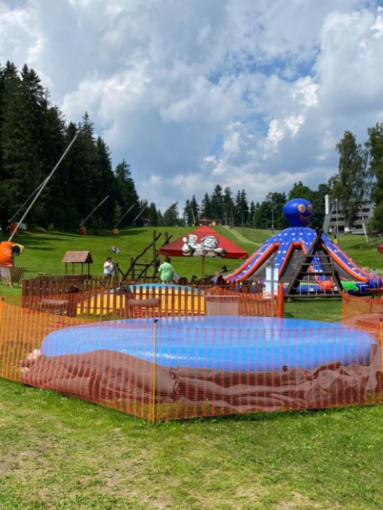 Pension & Restaurant Krakonoš - Harrachov
