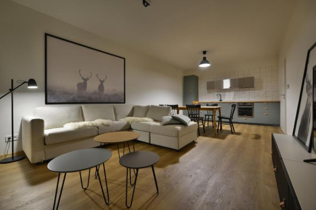 Element Lakeside Apartments - Lipno nad Vltavou
