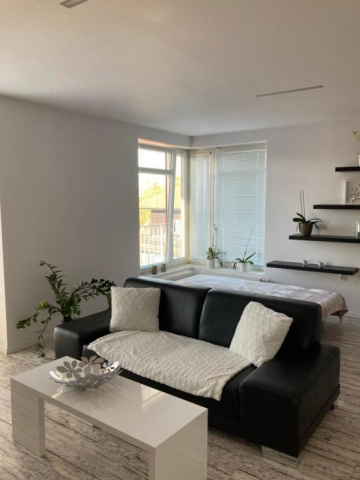 Apartment Husova