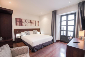 Petit Palace Marques Santa Ana