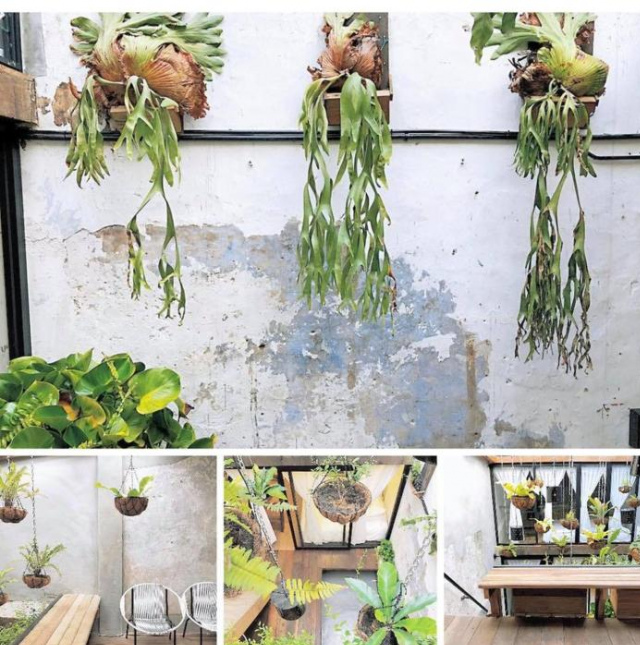 Rimba Jonker With Private Pool - 10 Pax 2B/R - Malacca