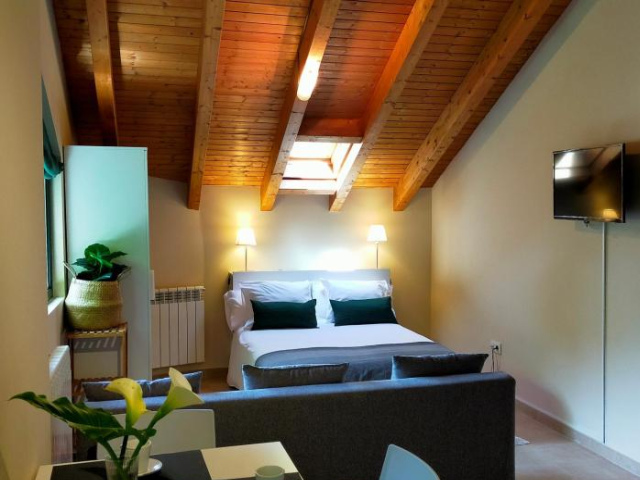 Apartamentos Turísticos la Estación y estudio - 坎加斯－德奧尼斯