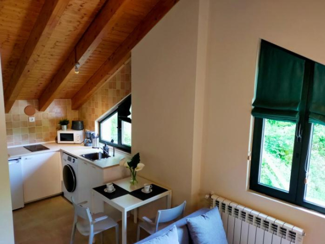 Apartamentos Turísticos la Estación y estudio - 坎加斯－德奧尼斯