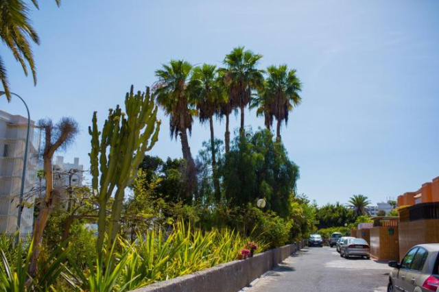 Calle Lanzarote 29C - Playa del Ingles