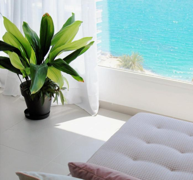 Apartamento con vistas al mar - 阿利坎特