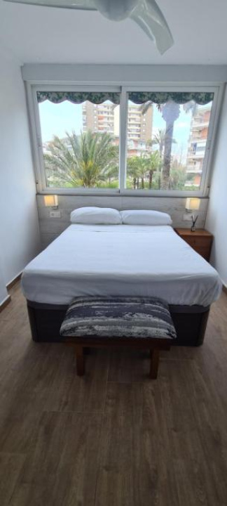 San Juan Live - Alicante