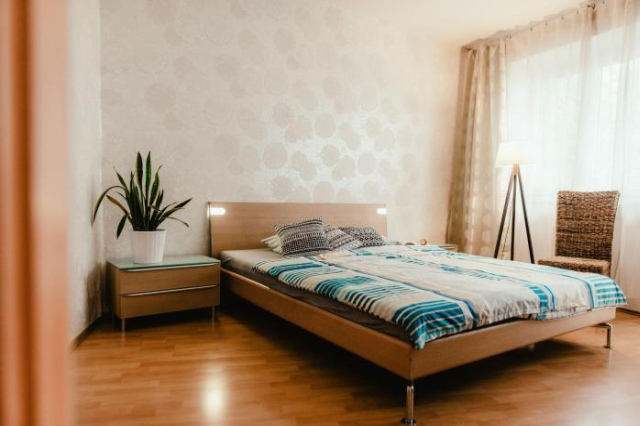 Old Town Apartment Pellicova - Brno