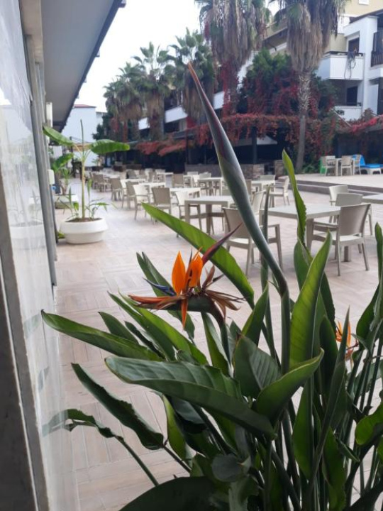 CLUB JOVIA KEMER - Antalya