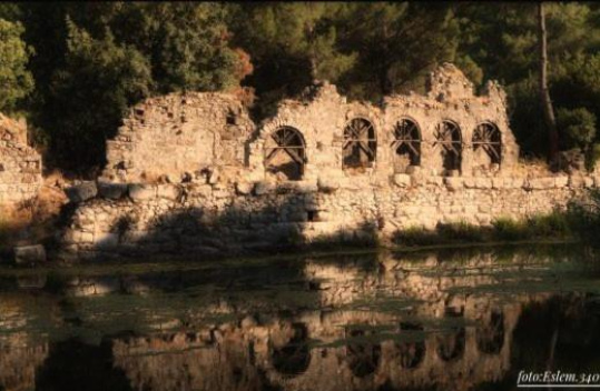 Olympos Turkuaz Apart ve Camping - Cirali
