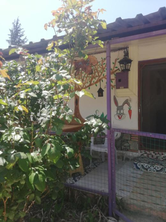 Olympos Turkuaz Apart ve Camping - Cirali