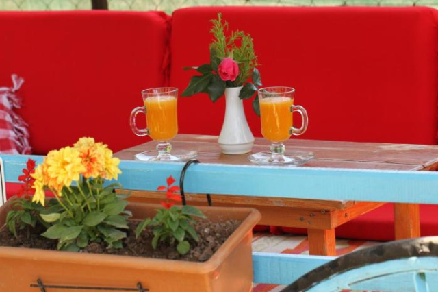 Mira Pansiyon Hotel - Cirali