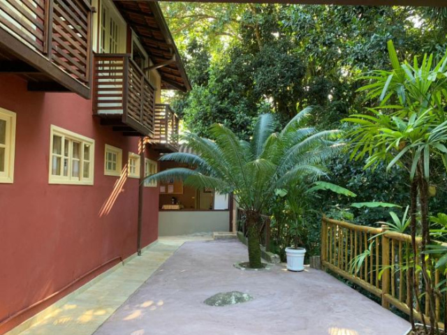 Pitanga Ilha Grande - Abrantes