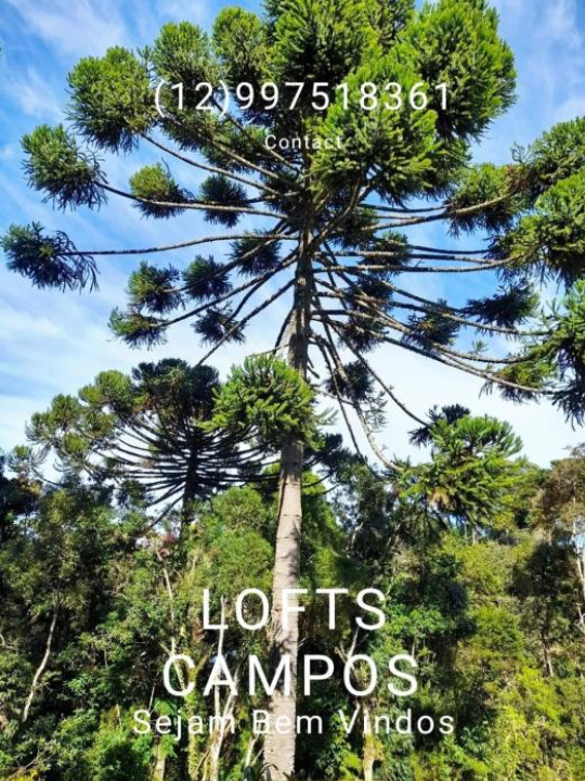 Lofts Campos - Campos do Jordao