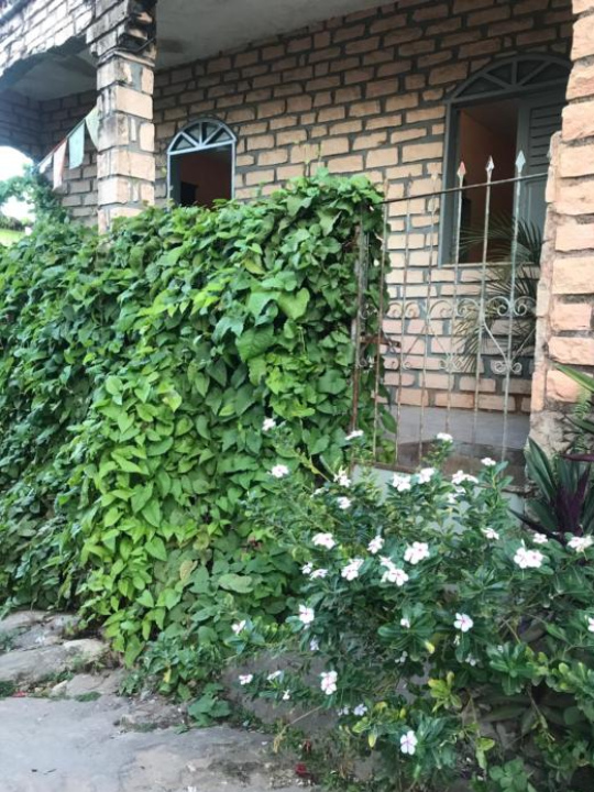 casa bela vista - 倫索伊斯
