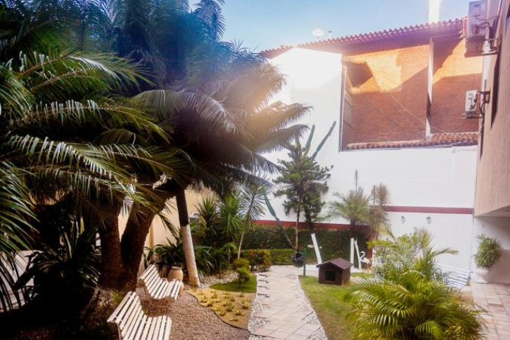 Image Alt