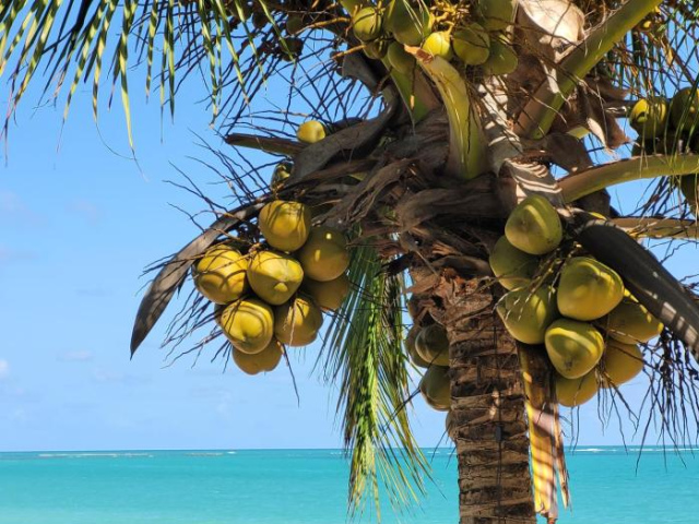 Sun Paradise - Ipioca - Maceio