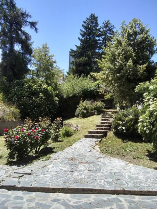 Delta Home - San Carlos