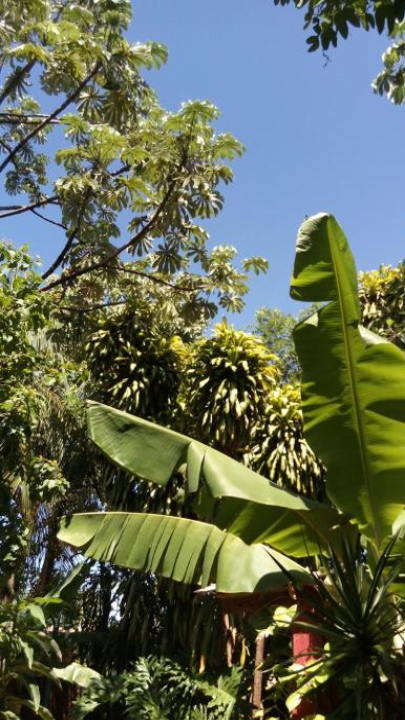 Posada María Iguazú - Puerto Iguazu