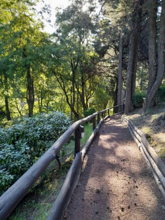 Villa Piren - San Martin de los Andes
