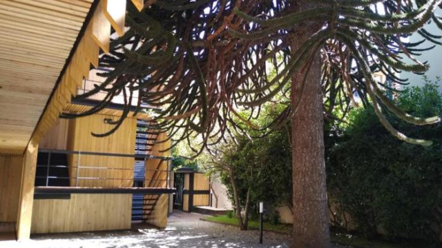 Vivero 5, departamento 5 - San Martin de los Andes