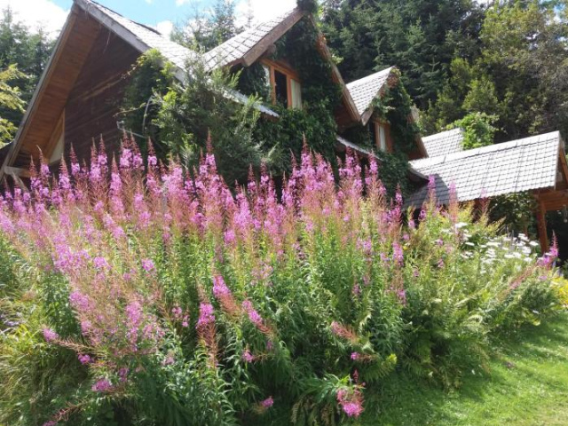 Las Casas Alicia Bed and Breakfast - Villa La Angostura