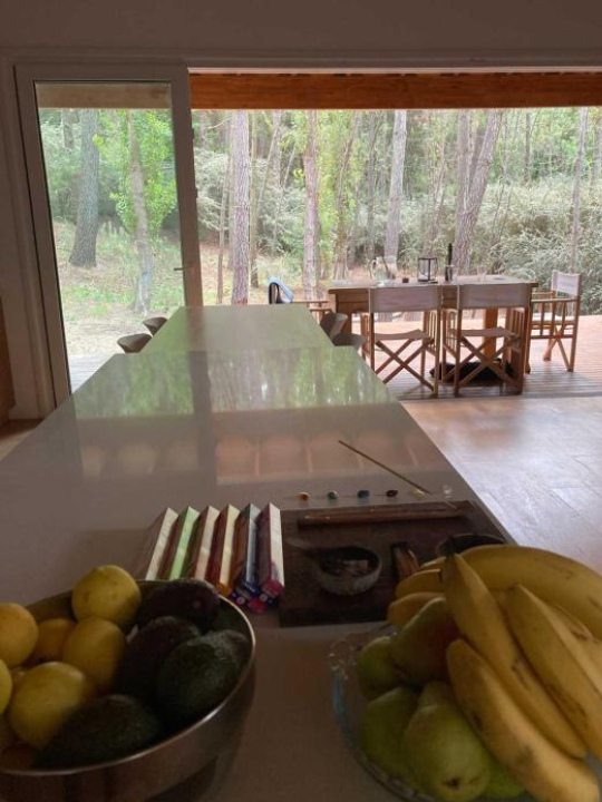 Casa Toroide en el Bosque - Carilo