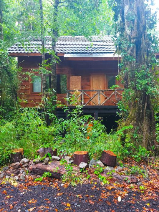Vivir El Bosque Huilo Huilo - Huilo Huilo