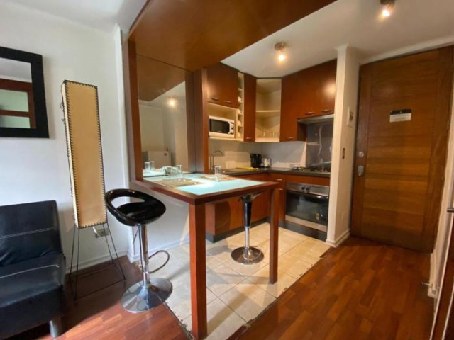 Departamentos Merced Santiago Suite. - 首都大區