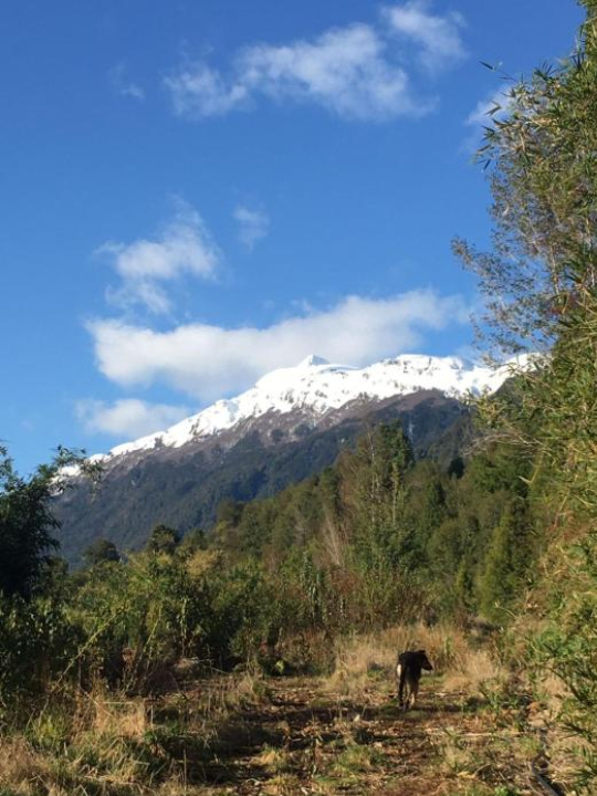 CABAÑAS RÜPÜ PUYUHUAPI - Aysen