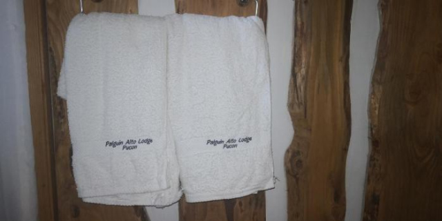 Lodge Palguin Alto - Araucania