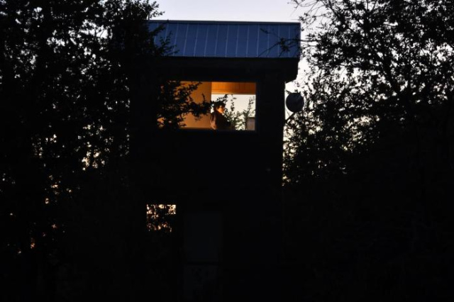 Casa árbol Conguillio National Park - Araucania