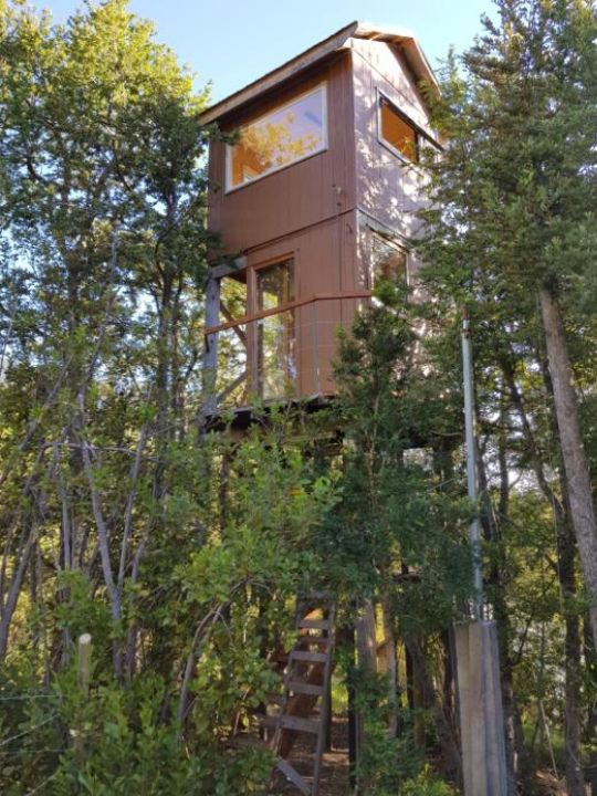 Casa árbol Conguillio National Park - Araucania