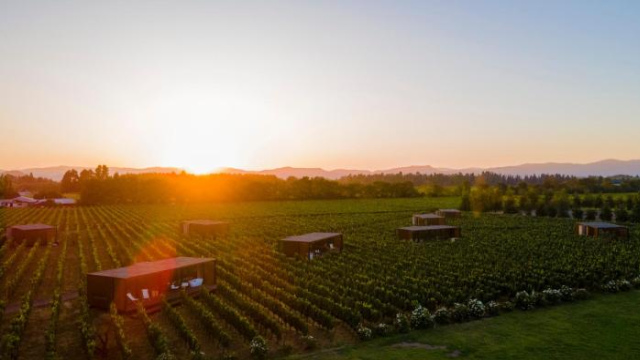 Vibo Wine Lodge At Viu Manent - O'Higgins