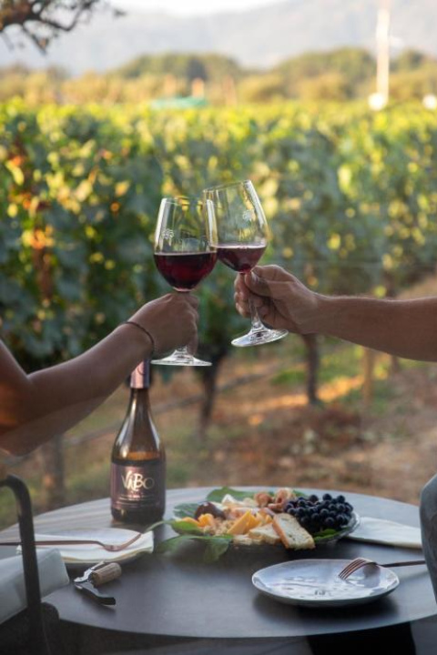 Vibo Wine Lodge At Viu Manent - O'Higgins