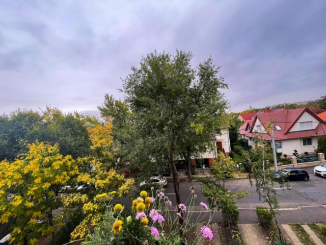 Nagyerdei Rózsahegy 1 Apartman Greatforest Rosehill 1 Apartment - 德布勒森