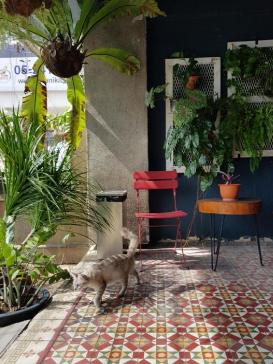 The Brownstone Hostel & Space - Ipoh