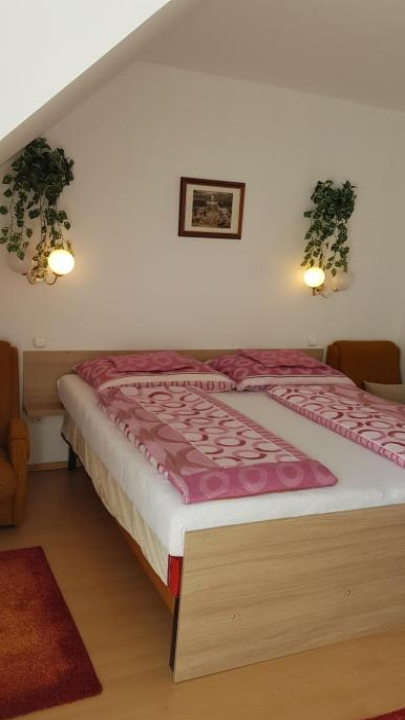 Pension Óvári - 比克