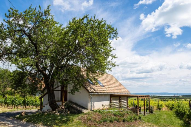 Tagyon Birtok Mandula Apartmanház - Lake Balaton