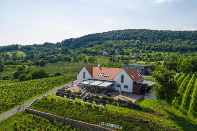 Vitis Kúria 7171 Balatonrendes - Veszprem County