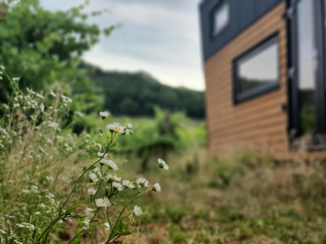 POP Tiny House Balaton - Veszprem County