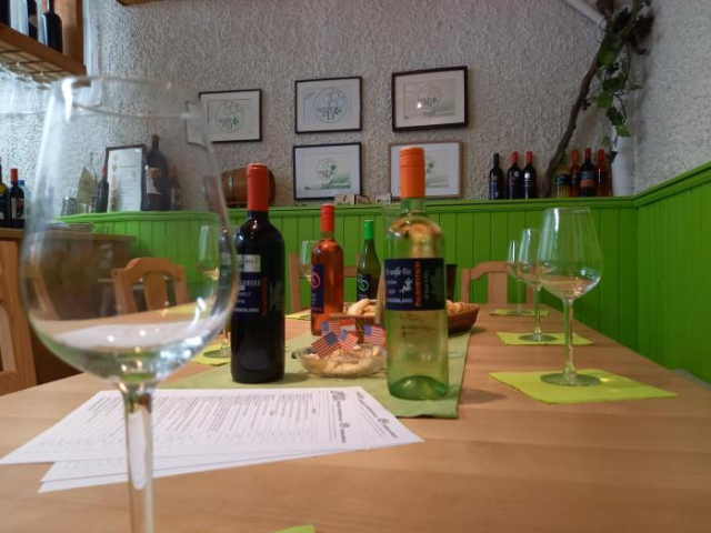 Weingut Gastehaus Palkowitsch - Lake Neusiedl