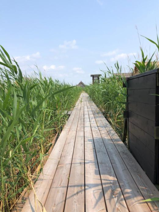 Pfahlbau Rust Robinsonhütte - Lake Neusiedl