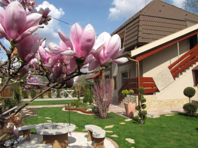 Szegfű Apartman - Hajdu-Bihar County