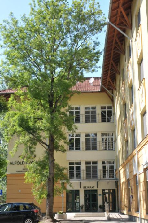 Alföld Gyöngye Hotel - Bekes County